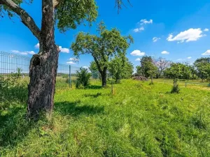 Prodej chaty, Prostějov, Za Kosteleckou, 30 m2