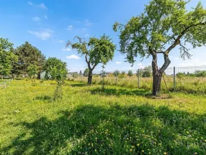 Prodej chaty, Prostějov, Za Kosteleckou, 30 m2
