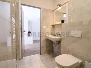 Pronájem bytu 1+kk, Brno, Bašty, 36 m2