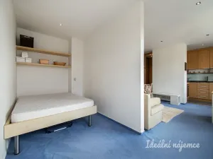 Pronájem bytu 1+kk, Praha - Holešovice, U městských domů, 42 m2