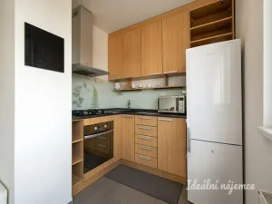 Pronájem bytu 1+kk, Praha - Holešovice, U městských domů, 42 m2