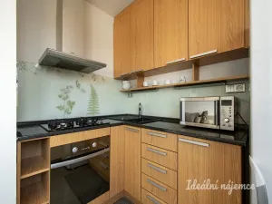 Pronájem bytu 1+kk, Praha - Holešovice, U městských domů, 42 m2