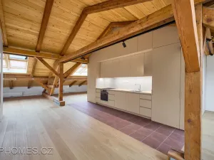 Pronájem bytu 1+kk, Praha - Nové Město, Podskalská, 97 m2