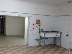 Pronájem výrobních prostor, Střelice, 120 m2