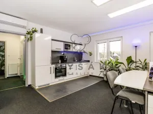 Prodej rodinného domu, České Budějovice - České Budějovice 2, O. Nedbala, 138 m2