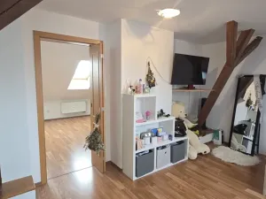 Prodej atypického bytu, České Budějovice - České Budějovice 3, Kněžskodvorská, 138 m2