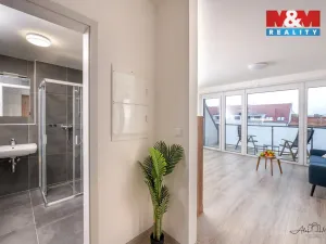 Prodej bytu 1+kk, České Budějovice - České Budějovice 6, Chelčického, 32 m2