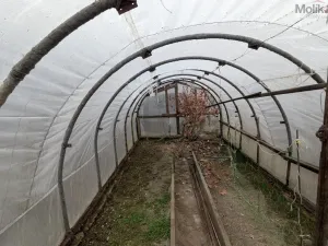 Prodej zahrady, Chomutov, Na Moráni, 385 m2