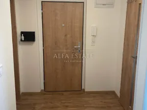 Pronájem bytu 2+1, Ostrov, Šafaříkova, 58 m2