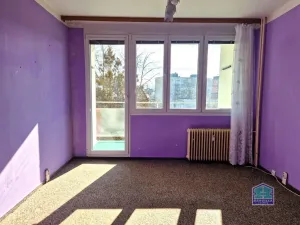 Prodej bytu 2+1, Stříbro, Gagarinova, 61 m2