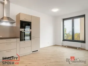 Pronájem bytu 2+kk, Plzeň - Jižní Předměstí, Železná, 52 m2