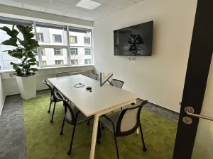 Pronájem kanceláře, Praha, Radlická, 234 m2