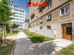 Pronájem bytu 1+1, Brno - Veveří, Dřevařská, 30 m2