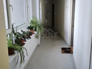 Pronájem bytu 1+kk, Praha, Jetelová, 28 m2