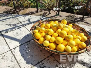 Pronájem vily, Massarosa, Itálie, Via Pisa, 200 m2