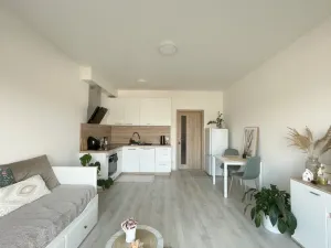 Pronájem bytu 1+kk, Olomouc, Edmunda Husserla, 29 m2