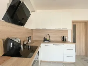 Pronájem bytu 1+kk, Olomouc, Edmunda Husserla, 29 m2