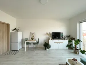 Pronájem bytu 1+kk, Olomouc, Edmunda Husserla, 29 m2