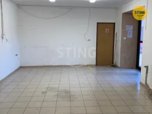 Pronájem skladu, Český Těšín, Ostravská, 230 m2