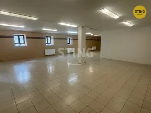 Pronájem skladu, Český Těšín, Ostravská, 230 m2