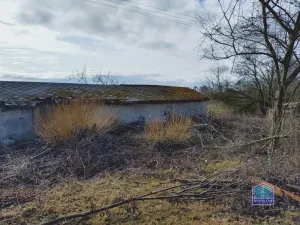 Prodej zemědělského objektu, Kotovice - Nový, 93 m2