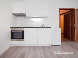 Pronájem bytu 1+kk, Brno - Žebětín, Chudčická, 30 m2