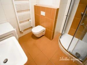 Pronájem bytu 1+kk, Brno - Žebětín, Chudčická, 30 m2