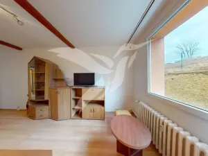 Pronájem bytu 1+1, Plzeň, Klatovská, 43 m2