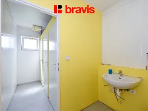 Pronájem skladu, Brno - Horní Heršpice, Pražákova, 301 m2