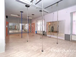 Prodej činžovního domu, Kladno, Osvoboz. pol. vězňů, 1000 m2