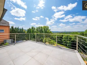 Prodej rodinného domu, Dalovice - Všeborovice, 315 m2