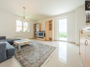 Prodej rodinného domu, Dalovice - Všeborovice, 315 m2