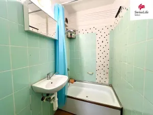 Prodej bytu 1+1, Plzeň, Hodonínská, 39 m2
