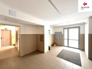 Prodej bytu 1+1, Plzeň, Hodonínská, 39 m2