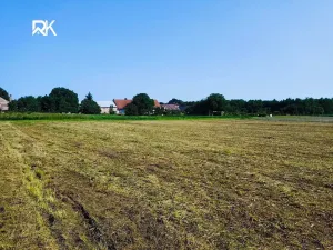Prodej pozemku pro bydlení, Nová Ves I, 1400 m2