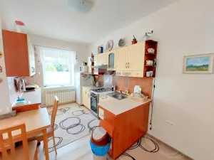 Prodej bytu 3+1, Krnov - Pod Bezručovým vrchem, Březinova, 177 m2