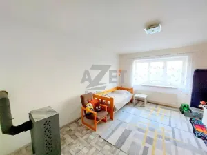 Prodej bytu 3+1, Krnov - Pod Bezručovým vrchem, Březinova, 177 m2