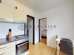 Prodej bytu 1+1, České Budějovice, Hálkova, 30 m2