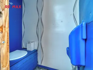 Prodej chaty, Poděbrady, 25 m2