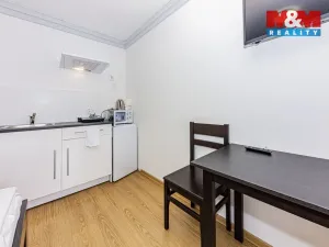 Pronájem bytu 1+kk, Čáslav - Čáslav-Nové Město, Pražská, 21 m2