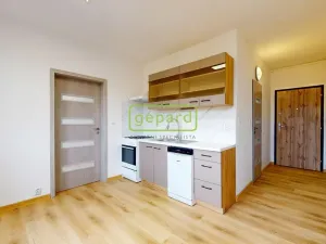 Pronájem bytu 1+1, Ústí nad Labem, Kmochova, 36 m2