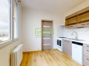 Pronájem bytu 1+1, Ústí nad Labem, Kmochova, 36 m2