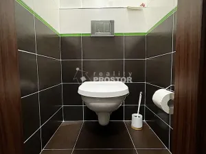 Pronájem bytu 2+kk, Praha - Žižkov, Rečkova, 50 m2