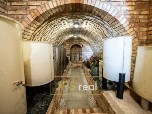 Prodej ubytování, Prušánky, Nechory, 145 m2