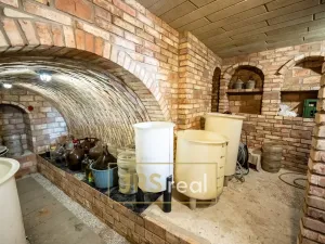 Prodej ubytování, Prušánky, Nechory, 145 m2