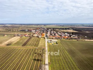 Prodej ubytování, Prušánky, Nechory, 145 m2