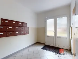 Prodej bytu 2+1, Chomutov, Vrchlického, 55 m2