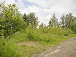 Prodej pozemku pro bydlení, Tábor, Družstevní, 1117 m2