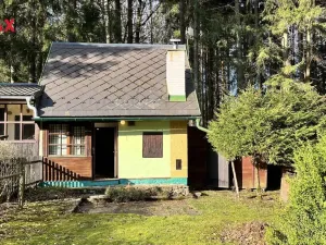 Prodej chaty, Proseč pod Křemešníkem, 40 m2