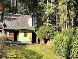 Prodej chaty, Proseč pod Křemešníkem, 40 m2